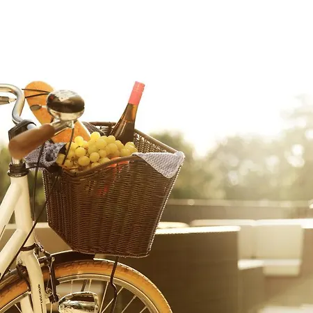 Maximilians Boutique-hotel Landau Hotel